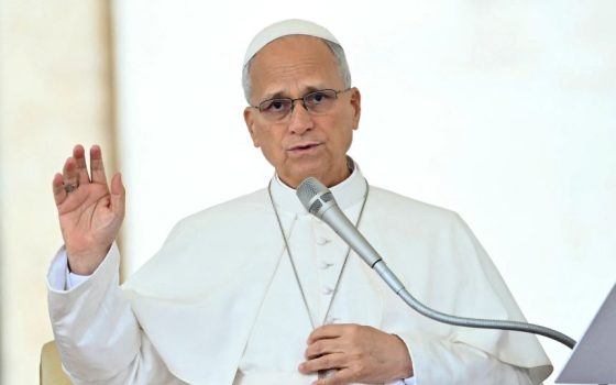 Pope vote marks first time a pontiff casts ballot in U.S. election